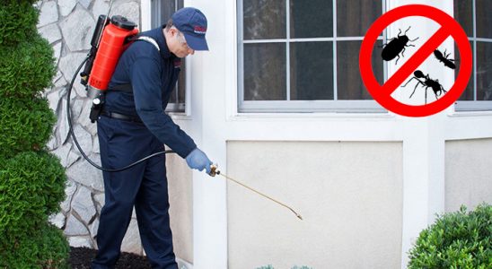 Kumlu Kene İlaçlama böcek ilaçlama ve haşere kontrolü — ilaclama-tr.com